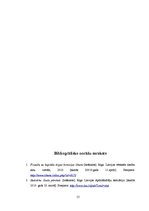 Referāts 'Ekonomiskās globalizācijas ietekme uz Latvijas uzņēmējdarbības vidi', 55.