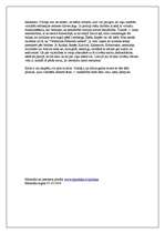 Eseja 'Masu medijos paustie atšķirīgie viedokļi', 6.