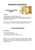 Paraugs 'Kokteiļu grupas', 4.