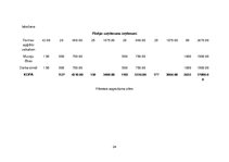 Biznesa plāns 'Biznesa plāns šūšanas darbnīcai SIA "Moda"', 28.