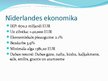 Prezentācija 'Nīderlande', 6.