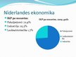Prezentācija 'Nīderlande', 7.
