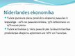 Prezentācija 'Nīderlande', 11.