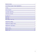 Referāts 'Mārketinga plāns', 2.