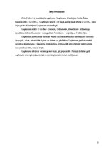 Referāts 'Mārketinga plāns', 3.