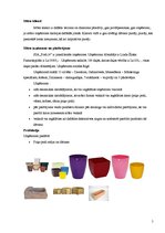 Referāts 'Mārketinga plāns', 5.