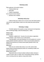 Referāts 'Mārketinga plāns', 9.