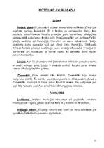 Referāts 'Zviedrija', 15.