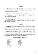 Referāts 'Zviedrija', 16.