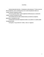 Referāts 'Vēja ģeneratora modeļa konstrukcija', 2.