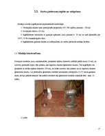 Referāts 'Vēja ģeneratora modeļa konstrukcija', 17.
