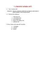 Referāts 'Valodas stili', 2.