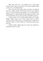 Eseja 'Patērētāju lēmumi un attieksme', 3.