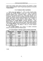 Referāts 'Alkohola tirgus Latvijā, tā attīstība 90.gados', 19.