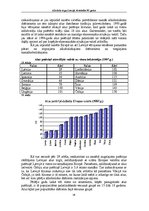 Referāts 'Alkohola tirgus Latvijā, tā attīstība 90.gados', 28.