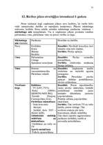 Referāts 'Uzņēmuma “Auto LUX” mārketinga vides un stratēģijas analīze un darbības plānošan', 31.