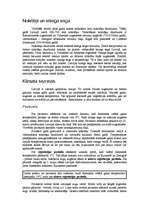 Referāts 'Klimats', 6.