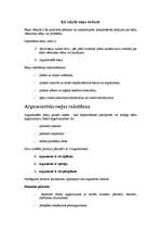 Konspekts 'Kā rakstīt eseju vēsturē?', 1.