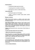 Konspekts 'Kā rakstīt eseju vēsturē?', 2.