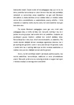 Konspekts 'Bērncentrētais mācību modelis', 4.