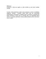 Referāts 'Svešvārdi publicistikā', 2.