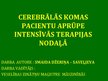 Prezentācija 'Cerebrālās komas pacientu aprūpe intensīvās terapijas nodaļā', 1.