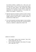 Konspekts 'Apgaismības laikmeta būtība', 3.