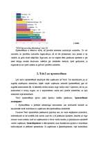 Referāts 'Sponsorēšana "Tele2"', 6.