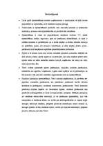 Referāts 'Sponsorēšana "Tele2"', 13.