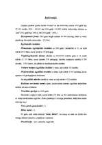 Referāts 'Liepājas pilsētas statistika', 2.