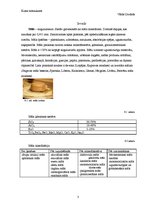 Referāts 'Māli kā izejvielas un energoresursi', 3.