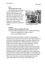 Referāts 'Māli kā izejvielas un energoresursi', 7.