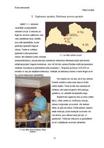 Referāts 'Māli kā izejvielas un energoresursi', 13.