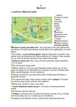 Referāts 'Malnavas muiža', 7.