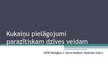 Prezentācija 'Kukaiņu pielāgojumi parazītiskam dzīves veidam', 1.