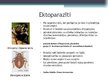 Prezentācija 'Kukaiņu pielāgojumi parazītiskam dzīves veidam', 4.