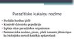 Prezentācija 'Kukaiņu pielāgojumi parazītiskam dzīves veidam', 11.