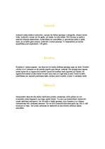 Referāts 'Saules sistēma', 5.