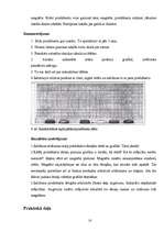 Referāts 'Magnētisko spēku mikroskops', 10.