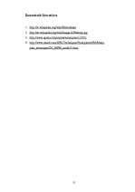 Referāts 'Magnētisko spēku mikroskops', 15.