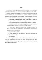 Referāts 'Sociālais darbs ar jauno (vientuļo) māmiņu grupu', 4.