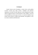 Referāts 'Sociālais darbs ar jauno (vientuļo) māmiņu grupu', 9.