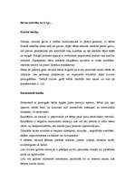 Konspekts 'Bērna teorētiskā izpēte pa vecumposmiem', 4.