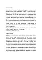 Konspekts 'Bērna teorētiskā izpēte pa vecumposmiem', 5.