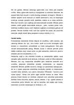 Konspekts 'Bērna teorētiskā izpēte pa vecumposmiem', 9.