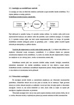 Referāts 'Analoģija', 11.