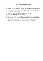 Referāts 'Analoģija', 18.