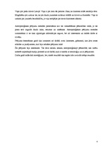 Eseja 'Antropoloģiskas pētījumu metodes', 4.