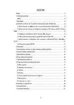 Referāts 'Ražošanas ceha projektēšana', 2.