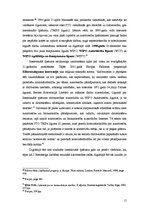 Diplomdarbs 'Autora tiesības interneta vidē', 15.